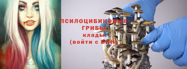 трава Балахна