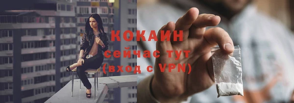 прущие грибы Строитель