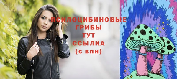 apvp Баксан