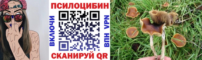 купить наркотик  omg сайт  Псилоцибиновые грибы MAGIC MUSHROOMS  Борисоглебск 
