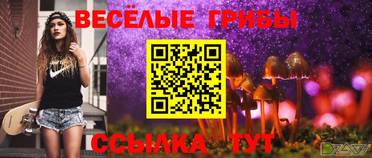 Псилоцибиновые грибы ЛСД Борисоглебск